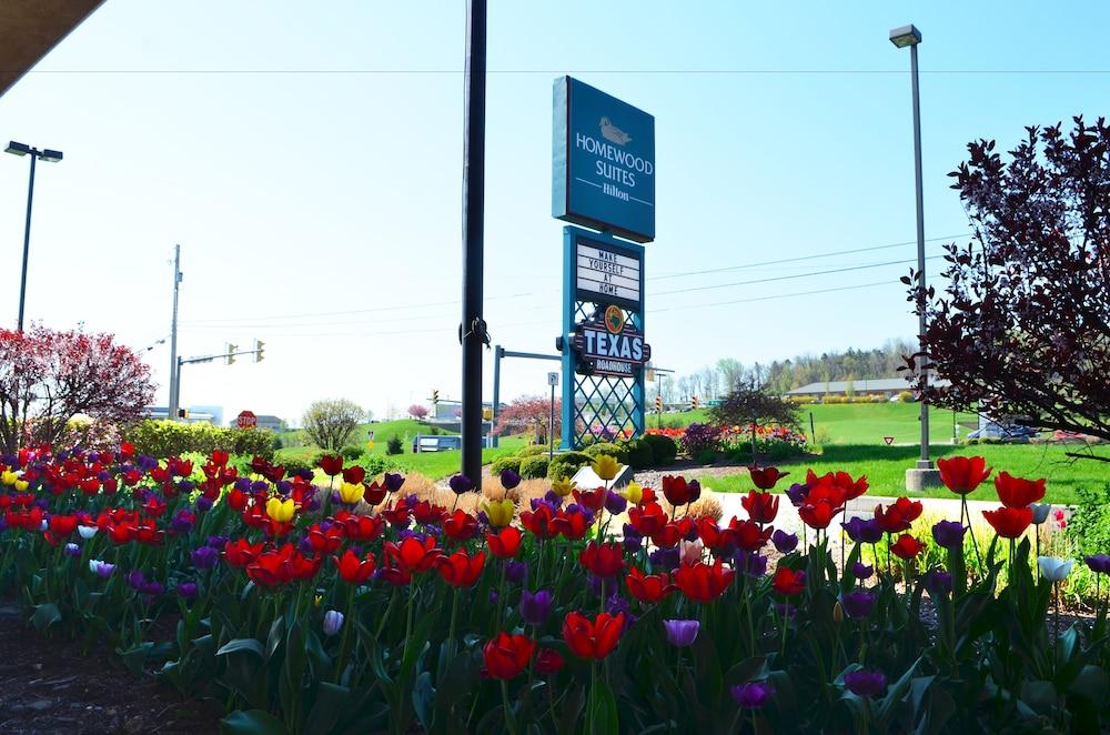 Homewood Suites By Hilton Reading-Wyomissing Exterior foto